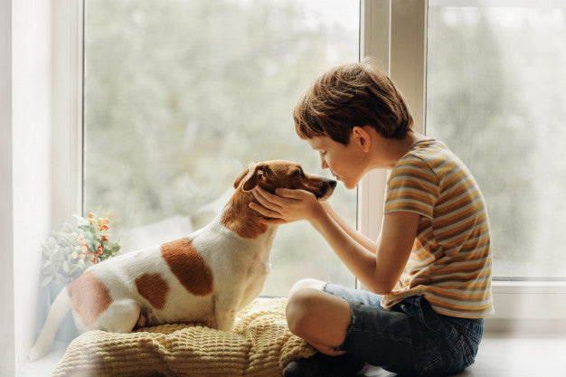 Pet